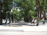 ampliar imagen