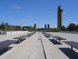 ampliar imagen