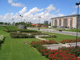 ampliar imagen