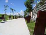 ampliar imagen